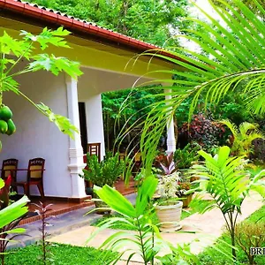 https://priyavimana-resort.kandyhotelsnow.com